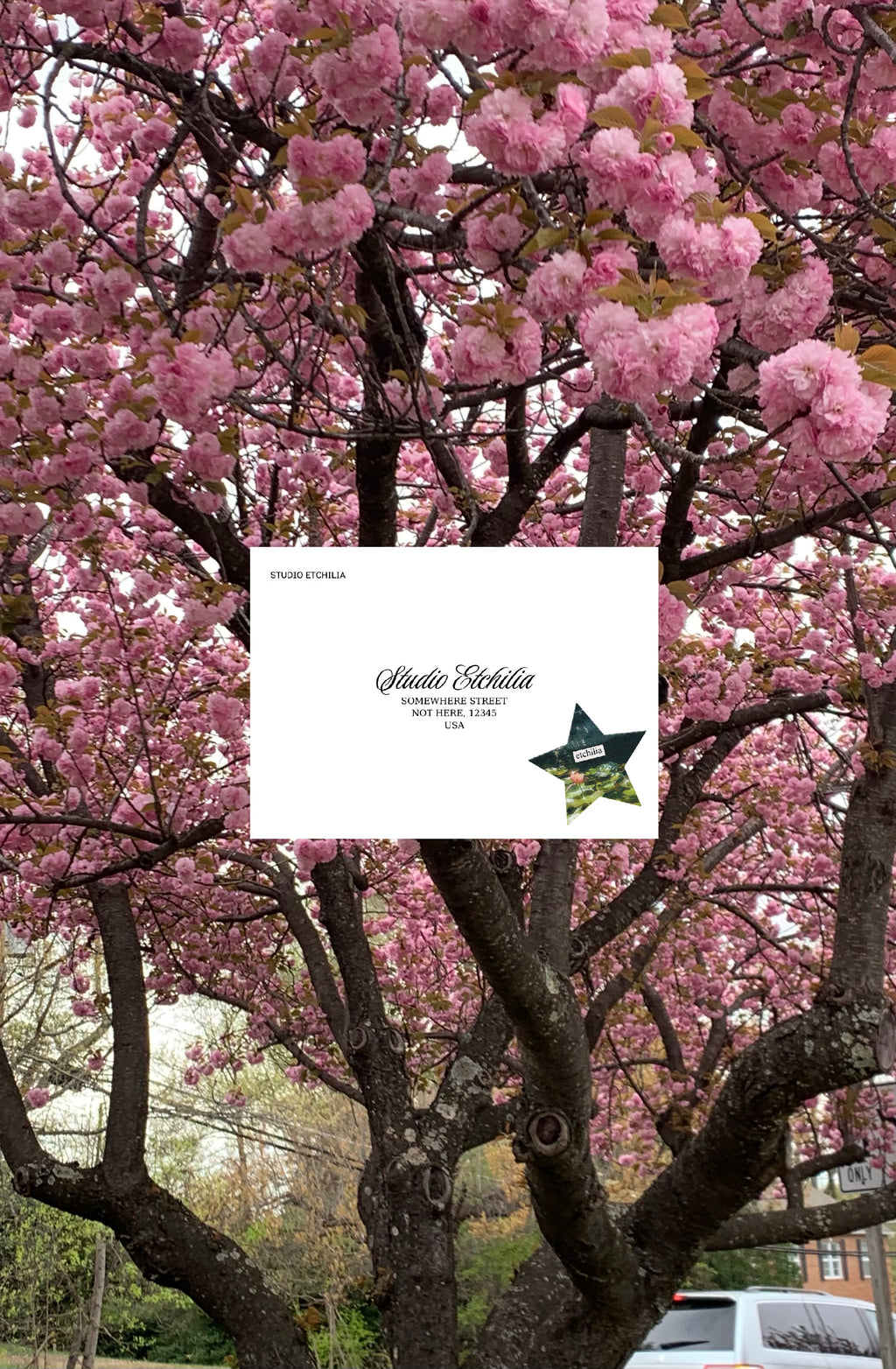 April 2025: Single Mailing