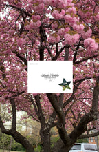 April 2025: Single Mailing