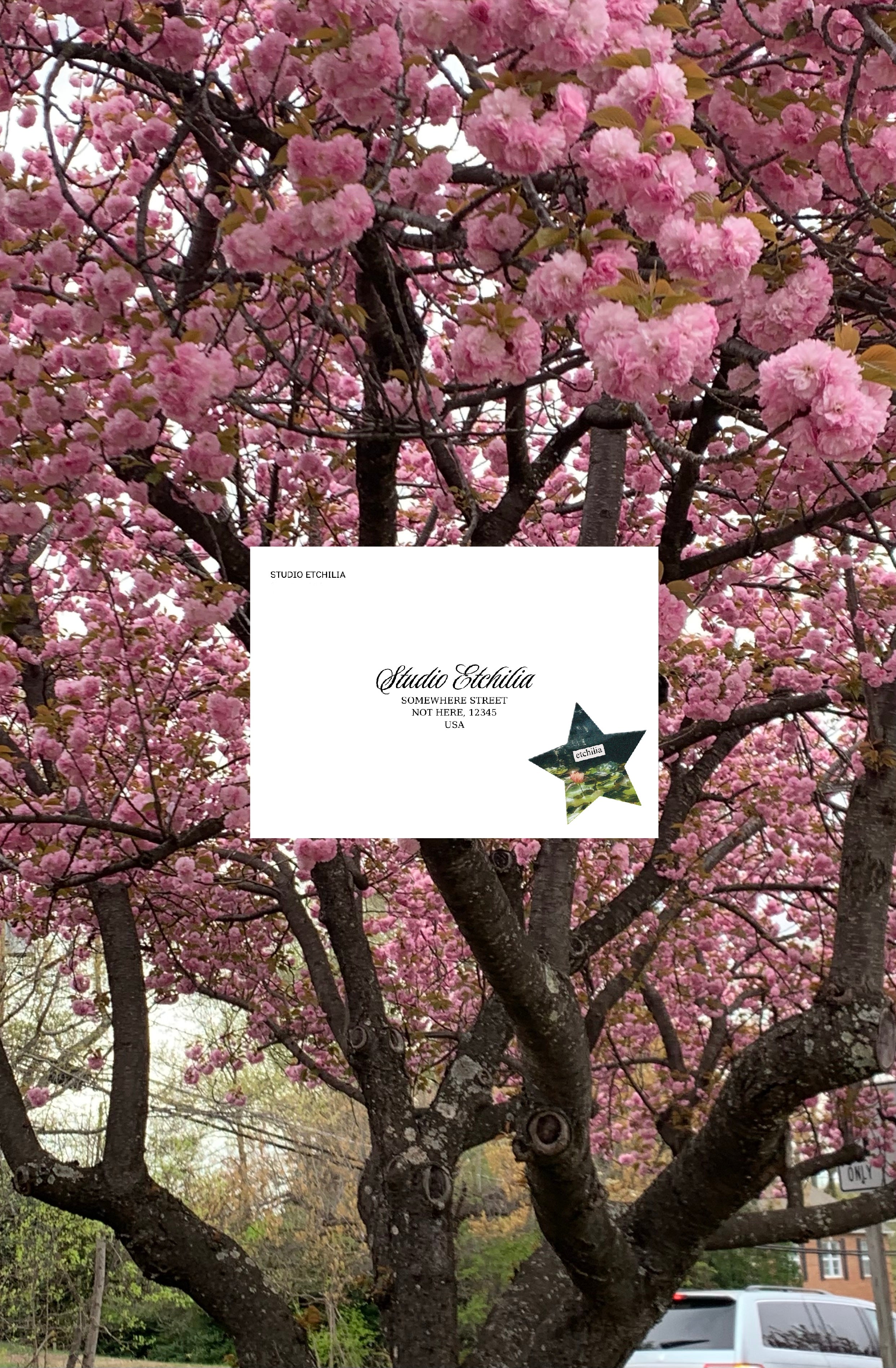 April 2025: Single Mailing