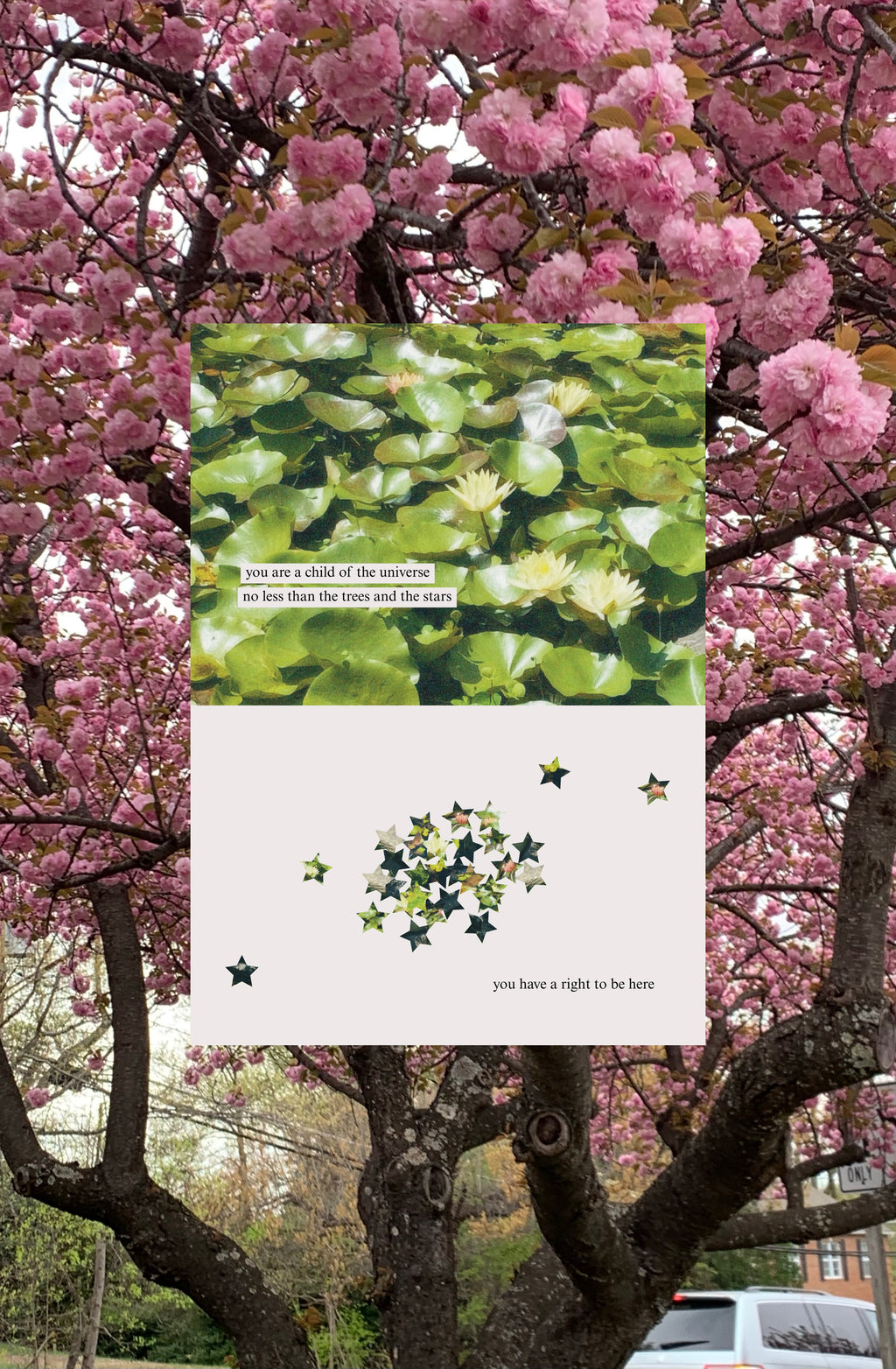 April 2025: Single Mailing